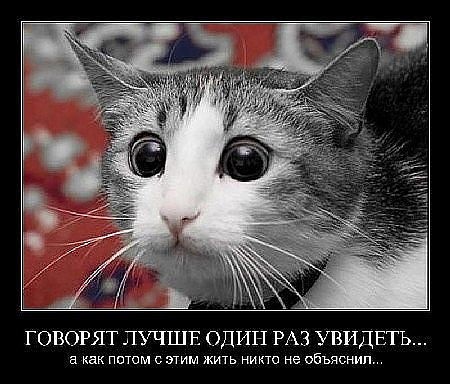 http://cs11138.vkontakte.ru/u26776905/-14/x_e8d767d2.jpg